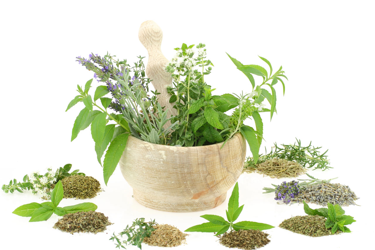 Herbal Medicines