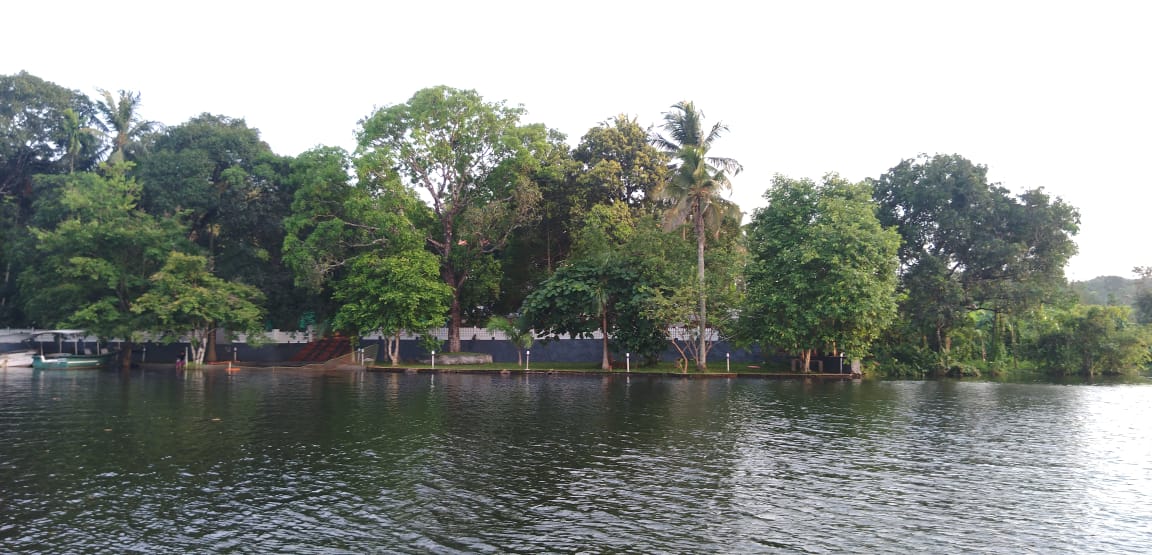 Peninsular Woods Resort